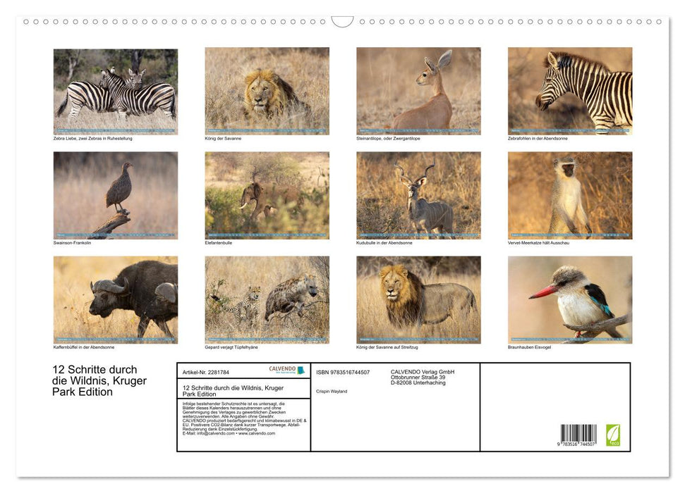 12 Schritte durch die Wildnis, Kruger Park Edition (CALVENDO Wandkalender 2026)