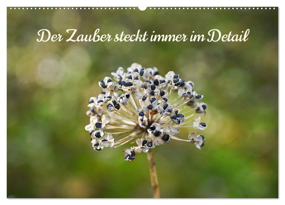 Der Zauber steckt immer im Detail (CALVENDO Wandkalender 2026)