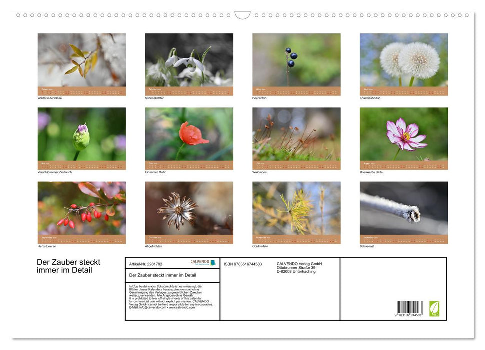 Der Zauber steckt immer im Detail (CALVENDO Wandkalender 2026)