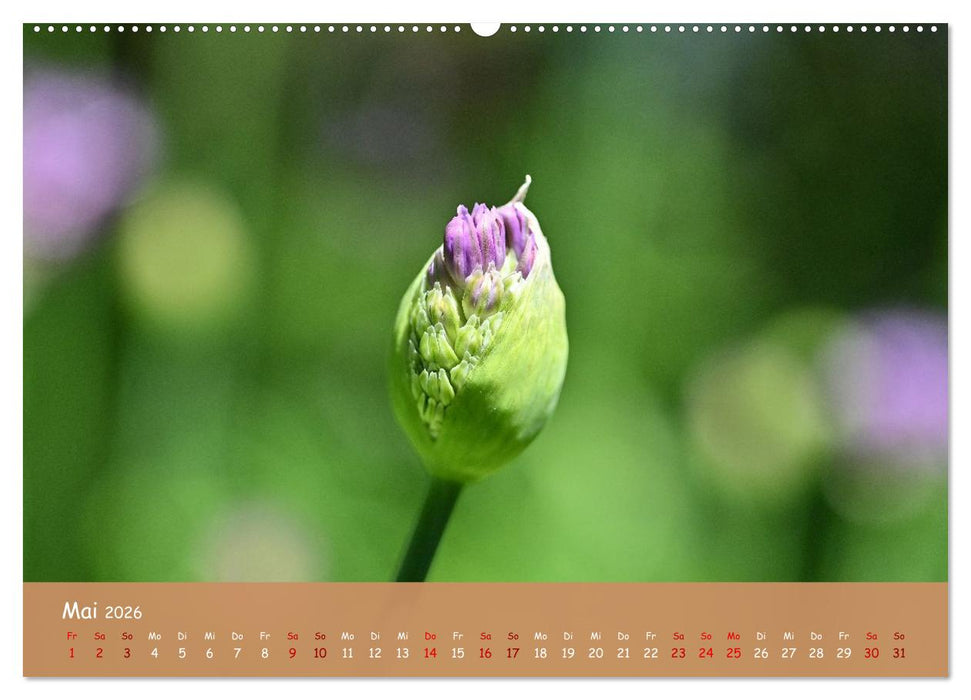 Der Zauber steckt immer im Detail (CALVENDO Wandkalender 2026)