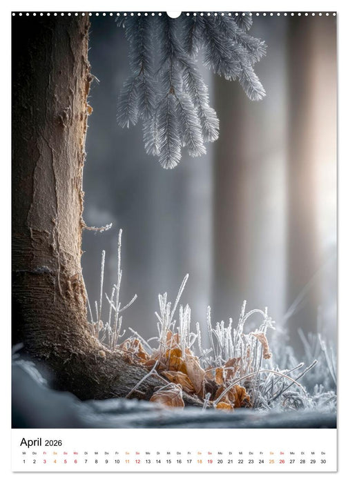 Wintermomente - Natur im weißen Kleid (CALVENDO Premium Wandkalender 2026)