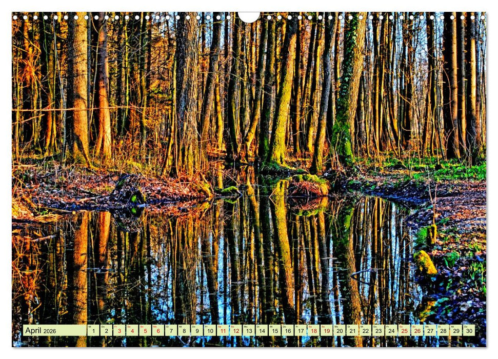 Verwunschene Waldträume: Ein Kalender voller Magie (CALVENDO Wandkalender 2026)