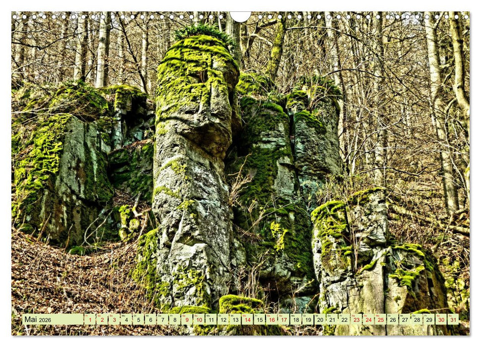 Verwunschene Waldträume: Ein Kalender voller Magie (CALVENDO Wandkalender 2026)
