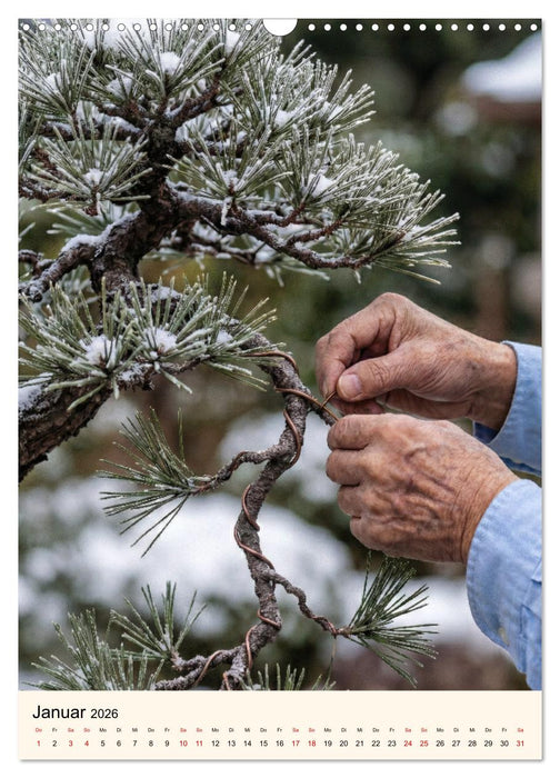 Spirit of Bonsai – Japanische Meisterwerke 2026 (CALVENDO Wandkalender 2026)
