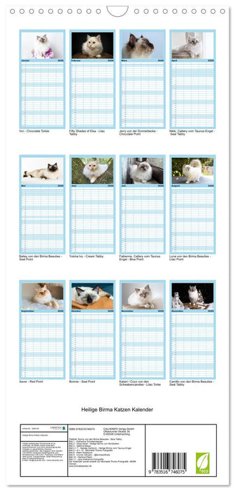 Heilige Birma Katzen Kalender (CALVENDO Familienplaner 2026)