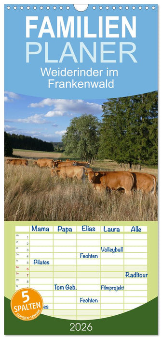 Weiderinder im Frankenwald (CALVENDO Familienplaner 2026)