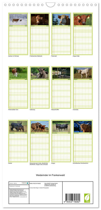 Weiderinder im Frankenwald (CALVENDO Familienplaner 2026)