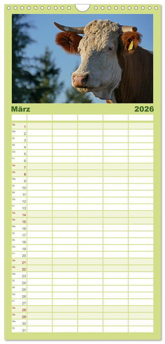 Weiderinder im Frankenwald (CALVENDO Familienplaner 2026)