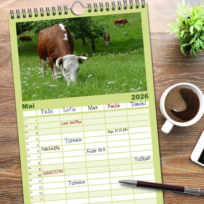 Weiderinder im Frankenwald (CALVENDO Familienplaner 2026)