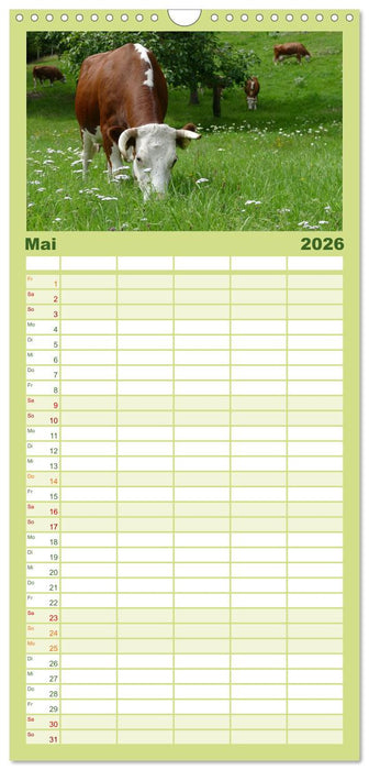 Weiderinder im Frankenwald (CALVENDO Familienplaner 2026)