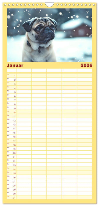 Kleine Helden - eine Hommage an die Mopsrasse (CALVENDO Familienplaner 2026)