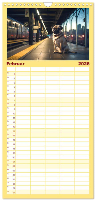 Kleine Helden - eine Hommage an die Mopsrasse (CALVENDO Familienplaner 2026)