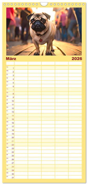 Kleine Helden - eine Hommage an die Mopsrasse (CALVENDO Familienplaner 2026)