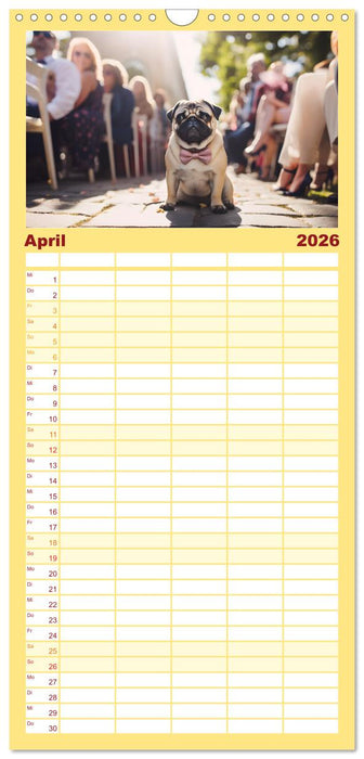 Kleine Helden - eine Hommage an die Mopsrasse (CALVENDO Familienplaner 2026)