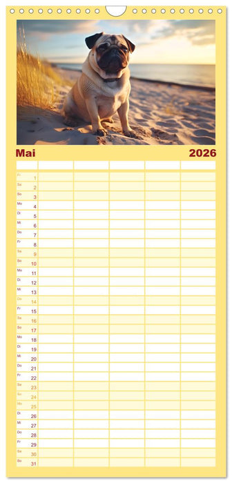 Kleine Helden - eine Hommage an die Mopsrasse (CALVENDO Familienplaner 2026)