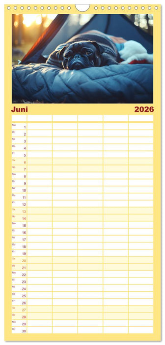 Kleine Helden - eine Hommage an die Mopsrasse (CALVENDO Familienplaner 2026)