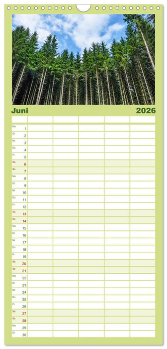 Nationalpark Eifel - Schöne Tage im Grünen (CALVENDO Familienplaner 2026)