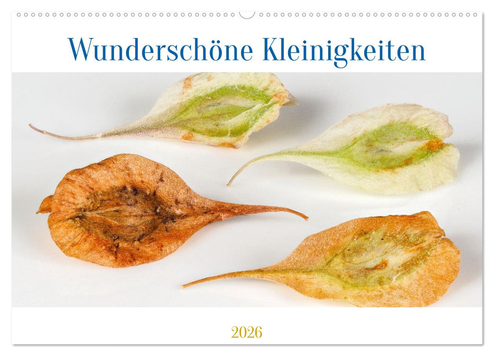 Wunderschöne Kleinigkeiten (CALVENDO Wandkalender 2026)