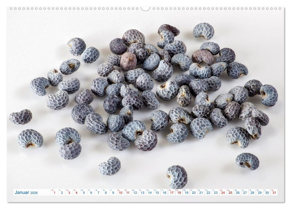 Wunderschöne Kleinigkeiten (CALVENDO Wandkalender 2026)