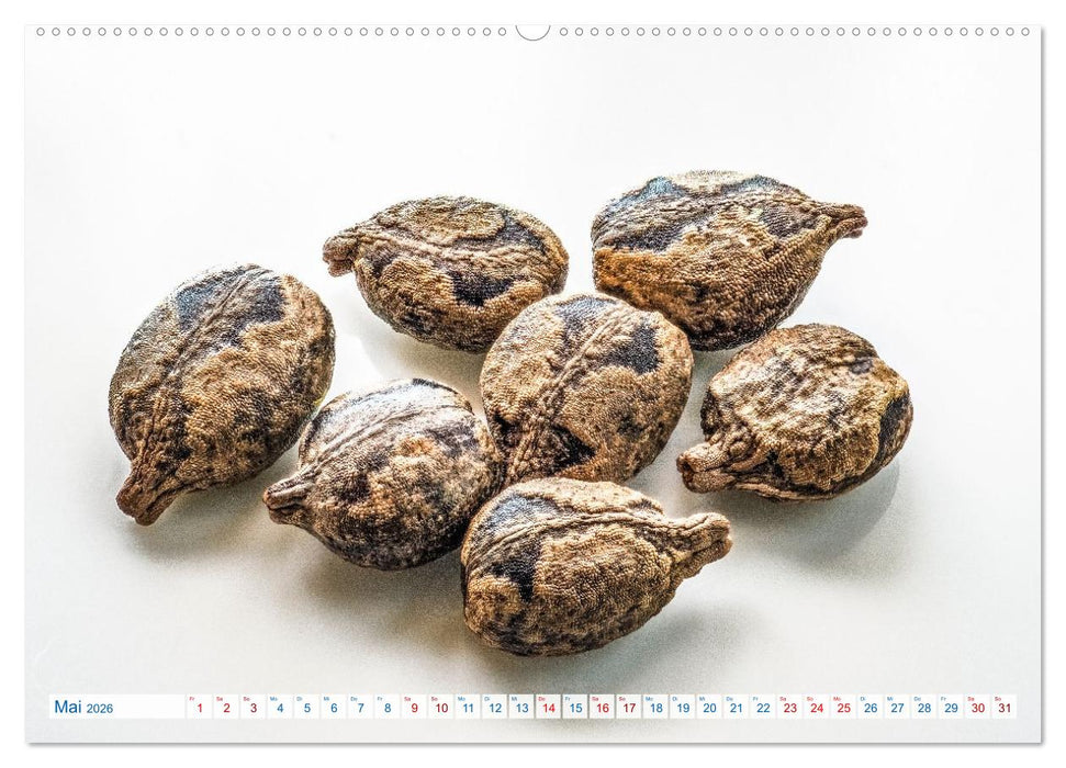 Wunderschöne Kleinigkeiten (CALVENDO Wandkalender 2026)