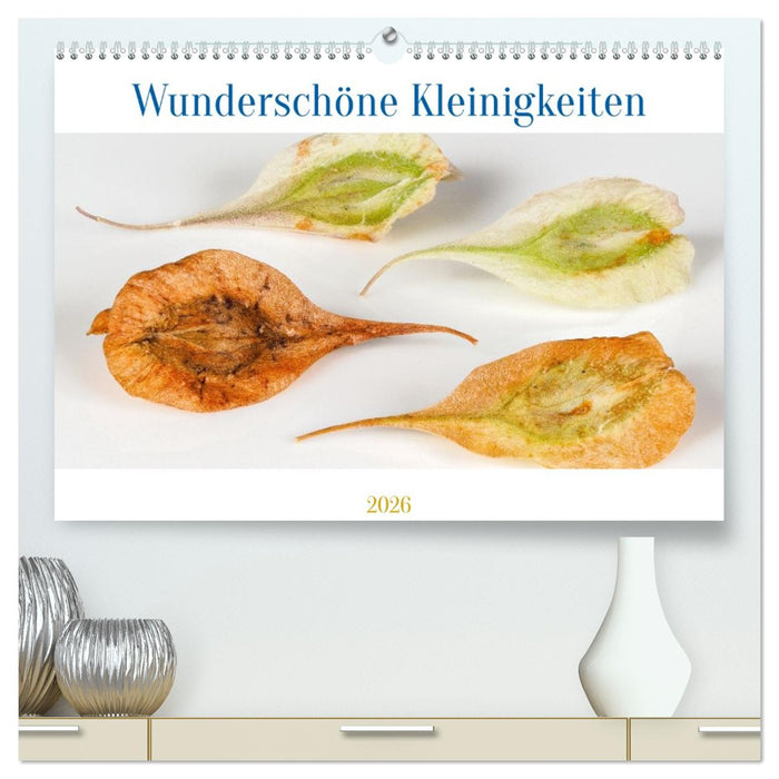 Wunderschöne Kleinigkeiten (CALVENDO Premium Wandkalender 2026)
