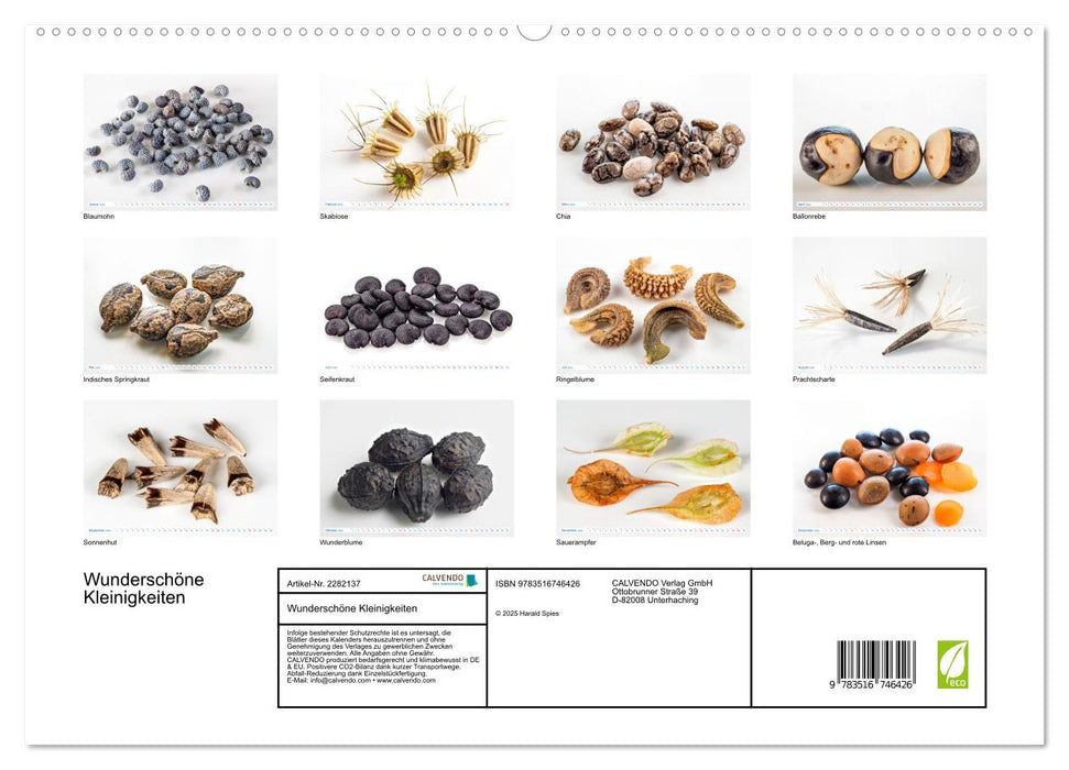 Wunderschöne Kleinigkeiten (CALVENDO Premium Wandkalender 2026)