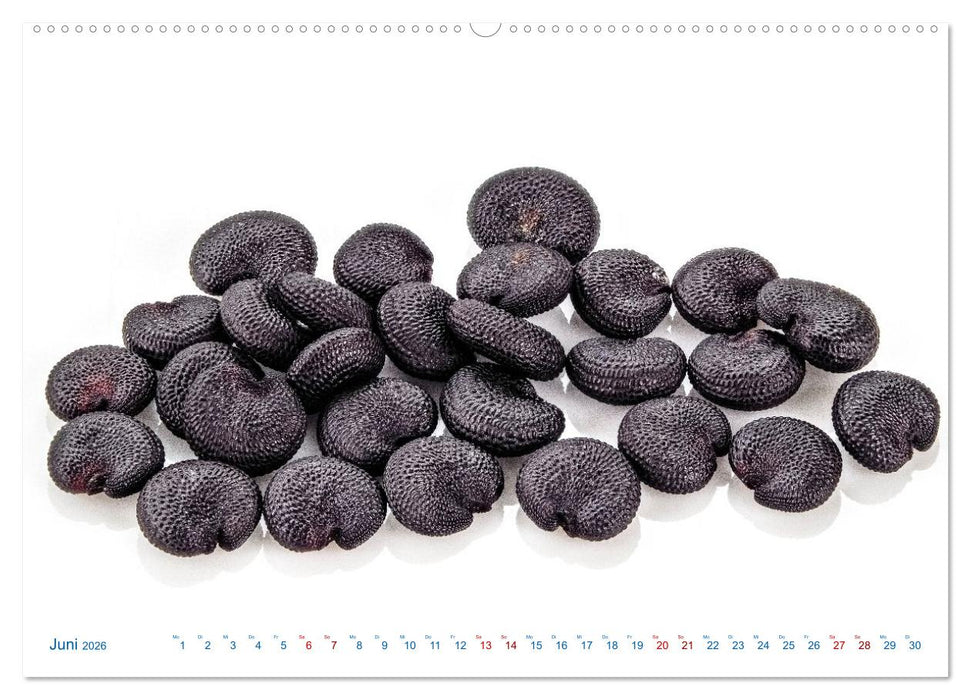 Wunderschöne Kleinigkeiten (CALVENDO Premium Wandkalender 2026)