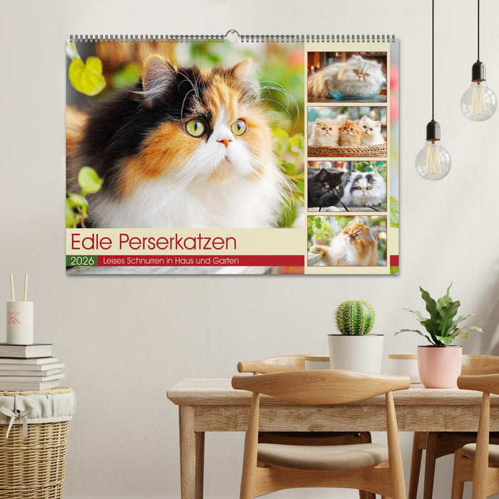 Edle Perserkatzen. Leises Schnurren in Haus und Garten (CALVENDO Wandkalender 2026)