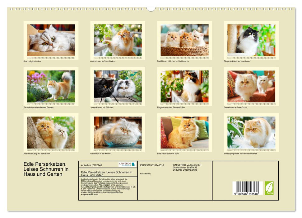 Edle Perserkatzen. Leises Schnurren in Haus und Garten (CALVENDO Premium Wandkalender 2026)