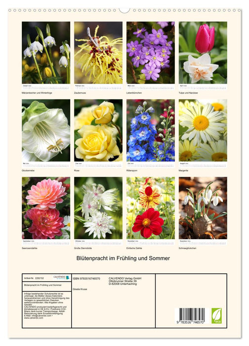 Blütenpracht im Frühling und Sommer (CALVENDO Premium Wandkalender 2026)
