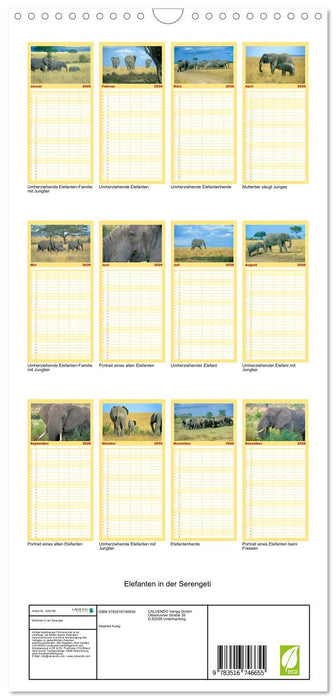 Elefanten in der Serengeti (CALVENDO Familienplaner 2026)