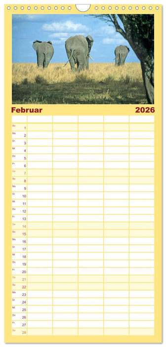 Elefanten in der Serengeti (CALVENDO Familienplaner 2026)