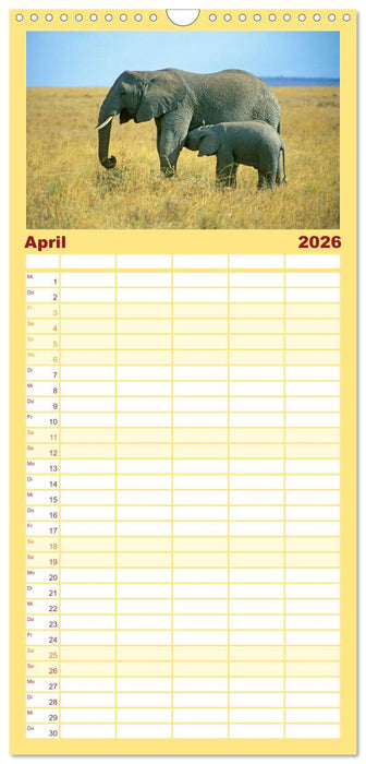 Elefanten in der Serengeti (CALVENDO Familienplaner 2026)
