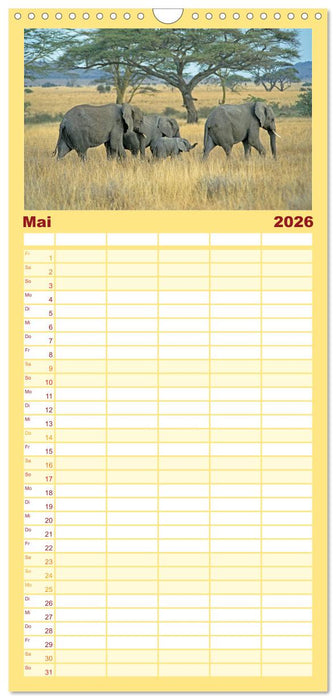 Elefanten in der Serengeti (CALVENDO Familienplaner 2026)