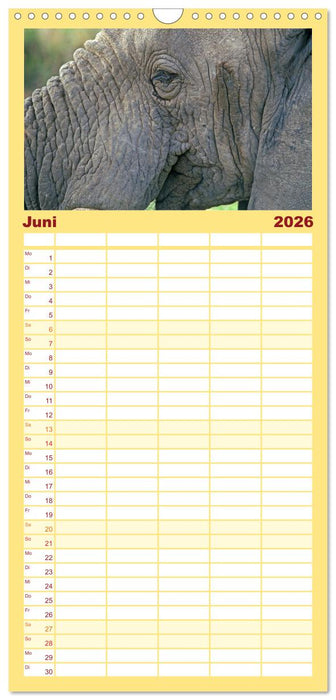 Elefanten in der Serengeti (CALVENDO Familienplaner 2026)