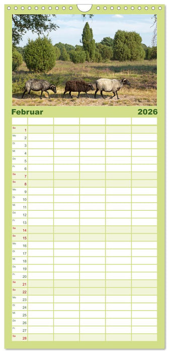 Die Lüneburger Heide - Ausflugsziel im Norden (CALVENDO Familienplaner 2026)