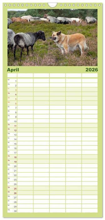 Die Lüneburger Heide - Ausflugsziel im Norden (CALVENDO Familienplaner 2026)