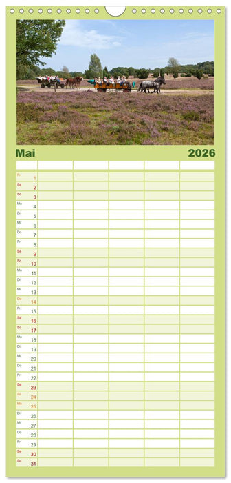 Die Lüneburger Heide - Ausflugsziel im Norden (CALVENDO Familienplaner 2026)