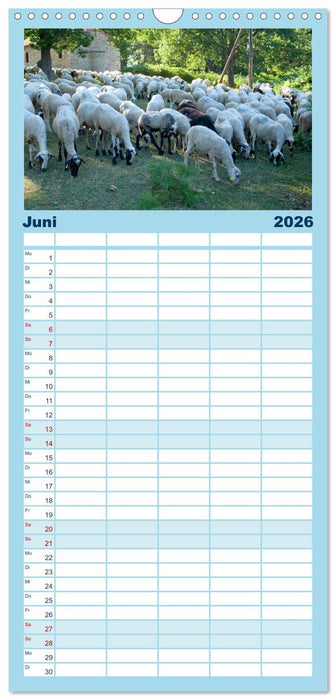 Chalkidiki - Urlaubsparadies in Nordgriechenland (CALVENDO Familienplaner 2026)