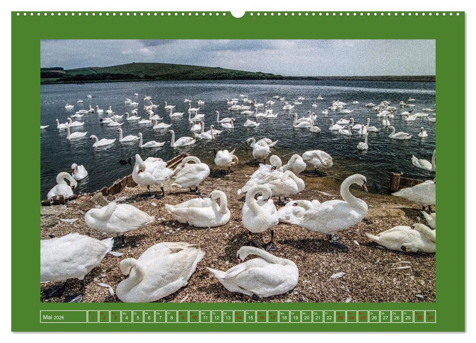 Südengland - eine nostalgische Reise (CALVENDO Premium Wandkalender 2026)