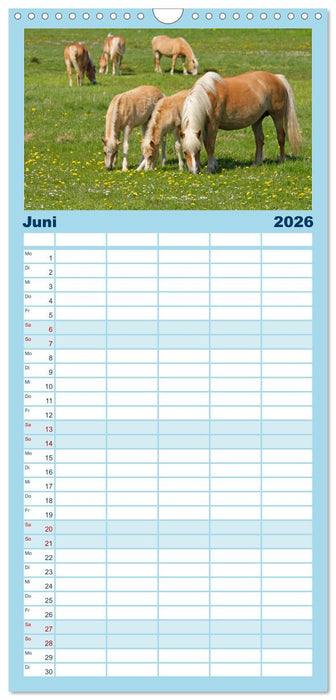 Ostseeinseln Rügen, Hiddensee, Ummanz (CALVENDO Familienplaner 2026)