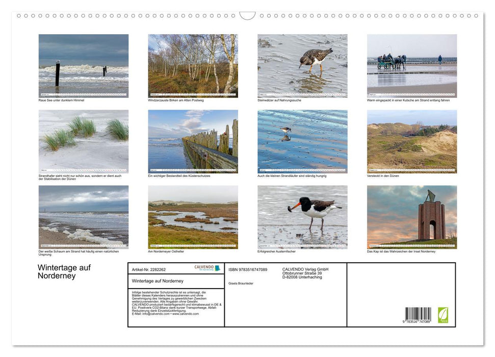 Wintertage auf Norderney (CALVENDO Wandkalender 2026)