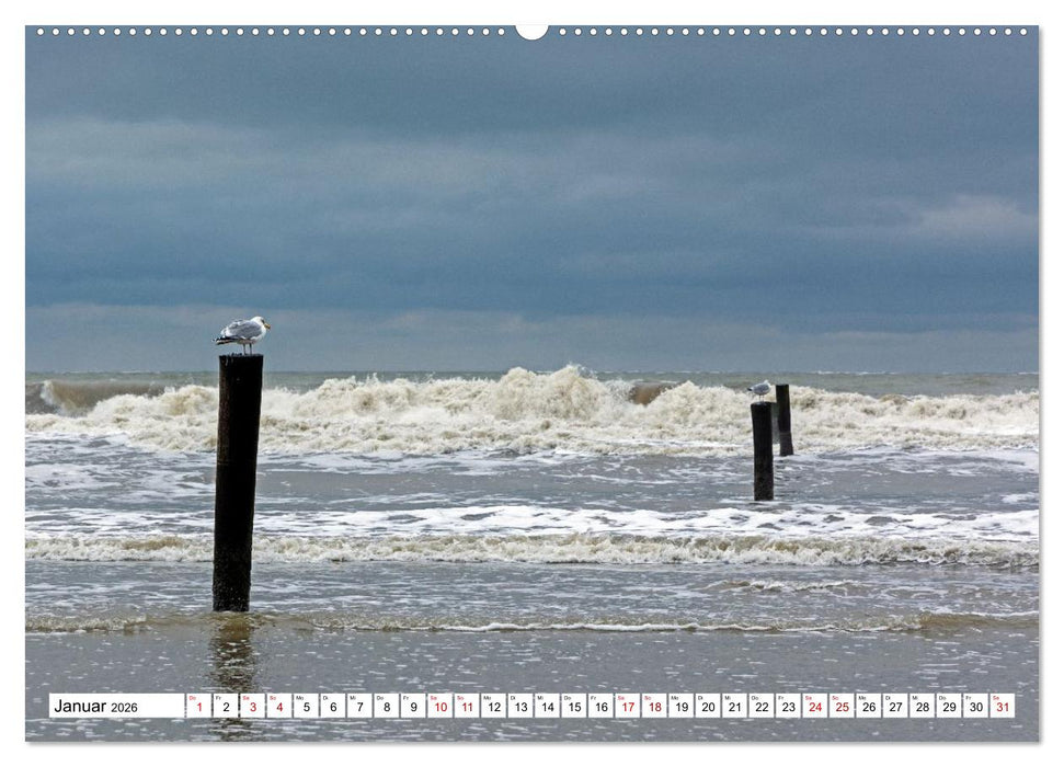 Wintertage auf Norderney (CALVENDO Wandkalender 2026)
