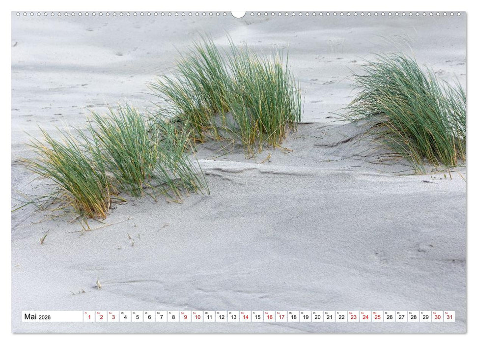 Wintertage auf Norderney (CALVENDO Wandkalender 2026)