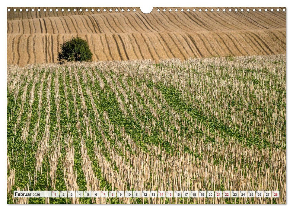 Schöner Kraichgau (CALVENDO Wandkalender 2026)