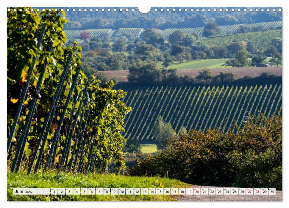 Schöner Kraichgau (CALVENDO Wandkalender 2026)