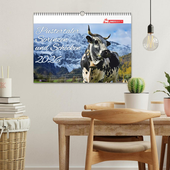 Pustertaler Sprinzen und Schecken 2026 (CALVENDO Wandkalender 2026)