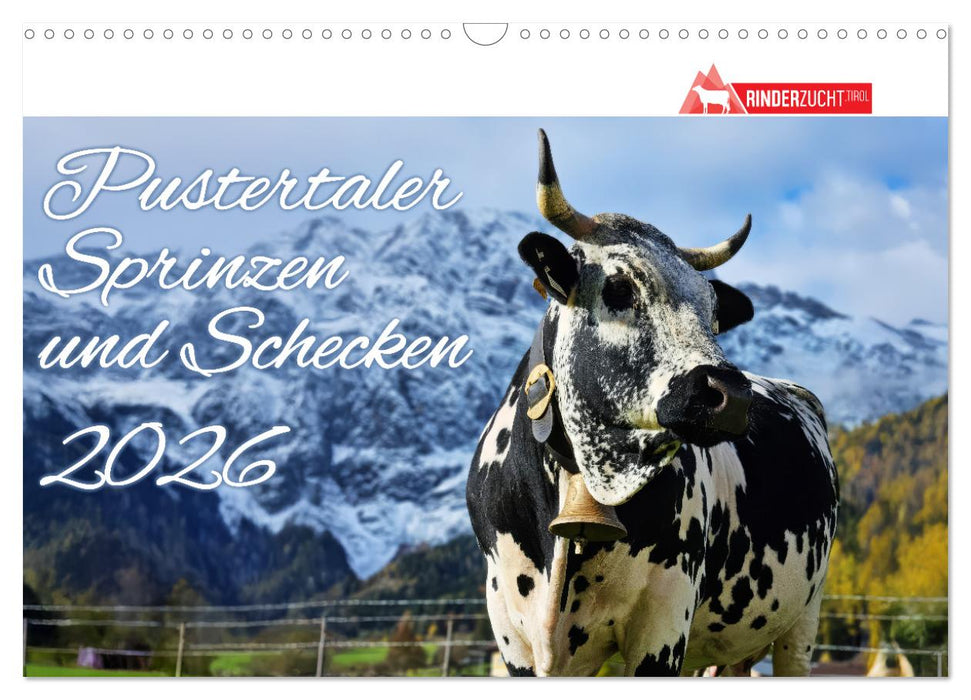 Pustertaler Sprinzen und Schecken 2026 (CALVENDO Wandkalender 2026)