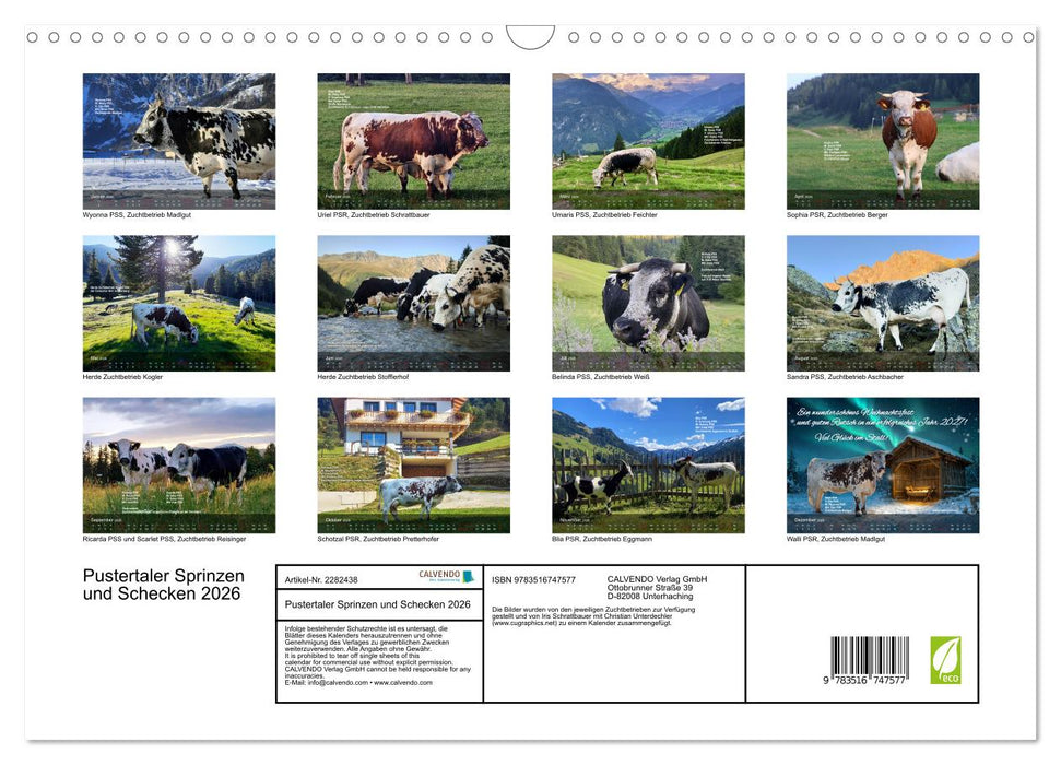 Pustertaler Sprinzen und Schecken 2026 (CALVENDO Wandkalender 2026)