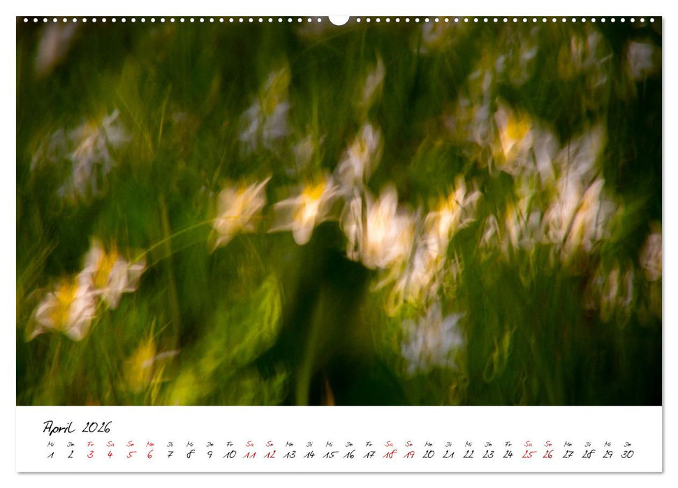 Abstrakte Landschaft ICM (Intentional Camera Movement) Fotografie (CALVENDO Wandkalender 2026)